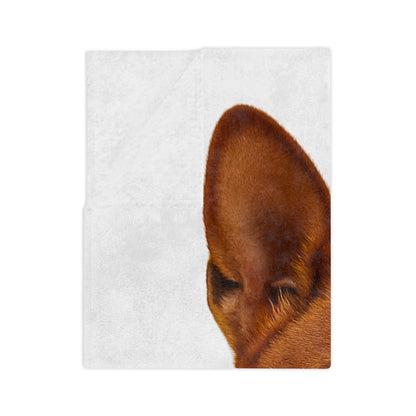 Basenji Head Velveteen Microfiber Blanket