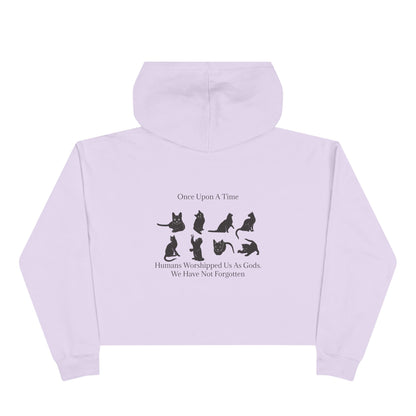 Once Upon A Time Women's Crop Hoodie