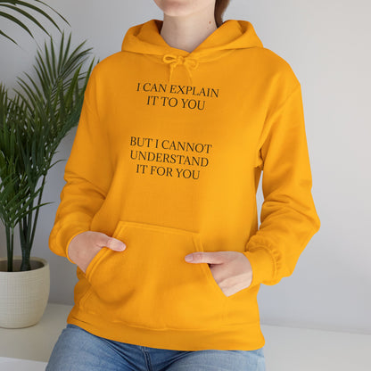 I Cannot Understand It For You Unisex Hoodie