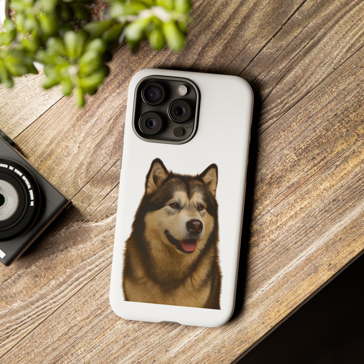 Malamute Head iPhone Case