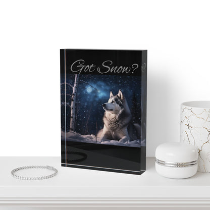 Got Snow? Acrylic Photo Block