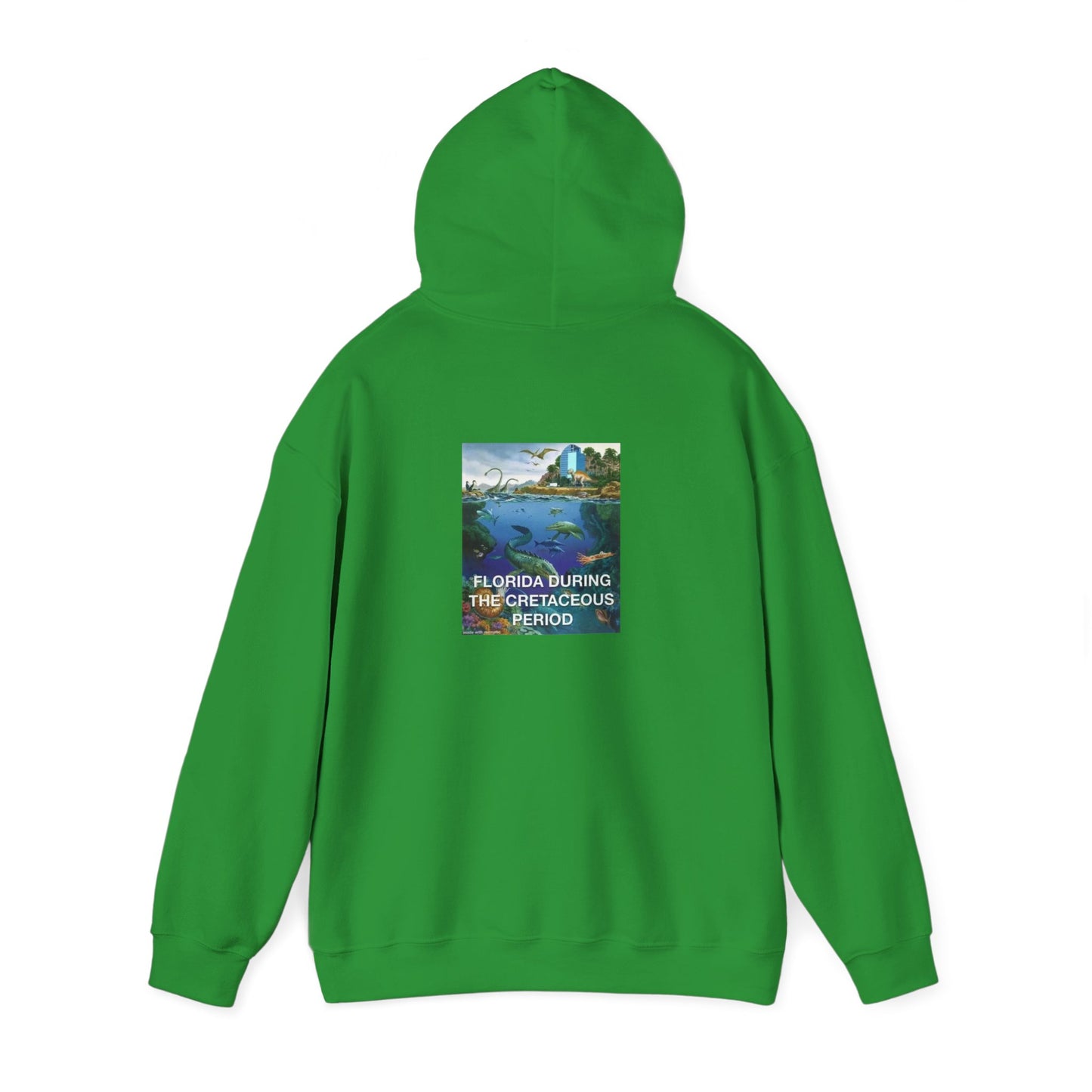 I-4 Eyesore Unisex Hoodie