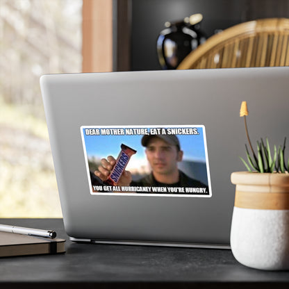 Hurricaney Vinyl Decal