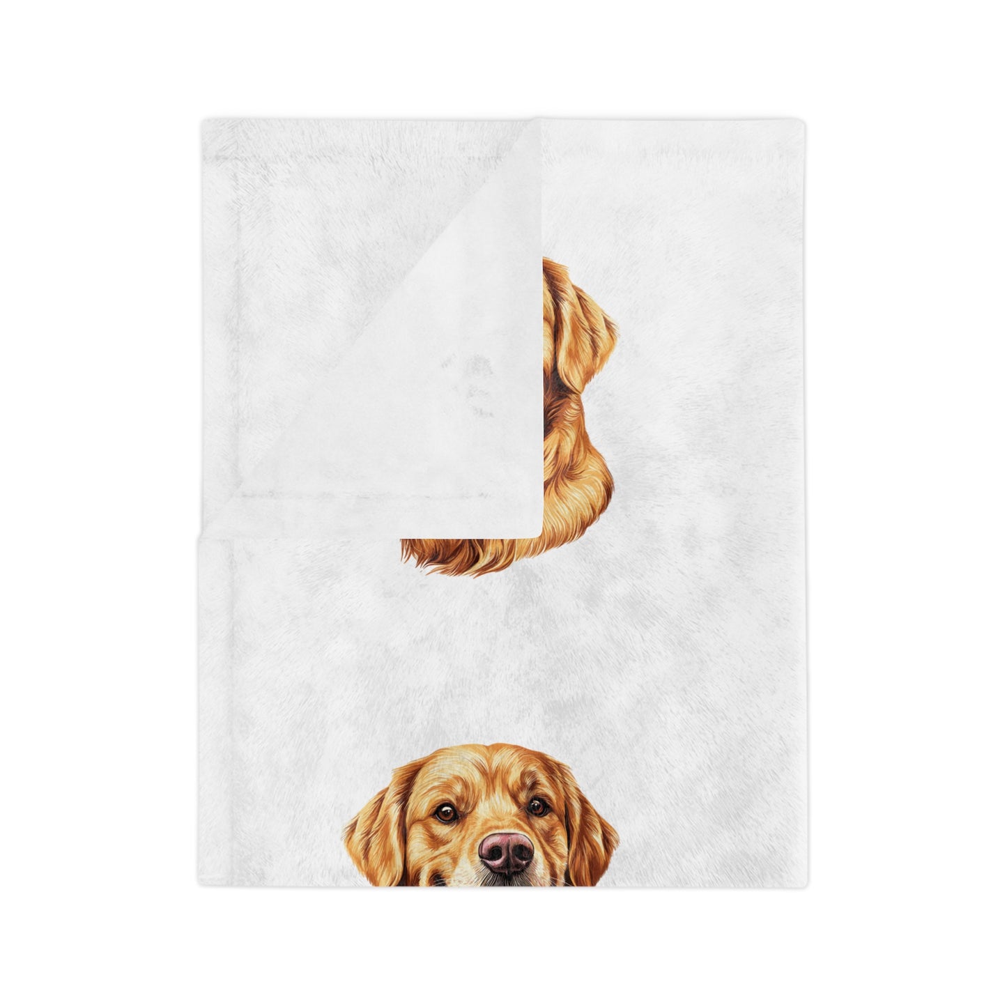 Golden Head Velveteen Microfiber Blanket