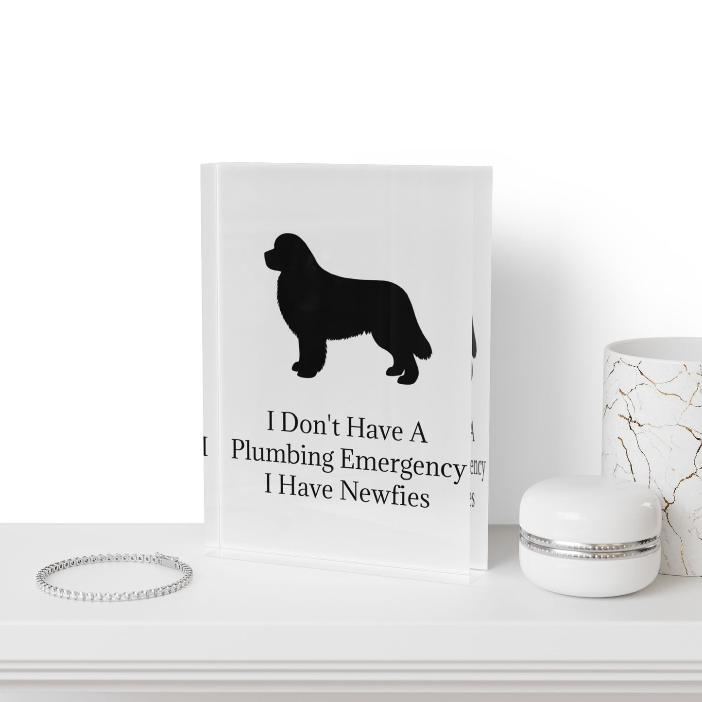 Plumbing Emergency Acrylic Photo Block