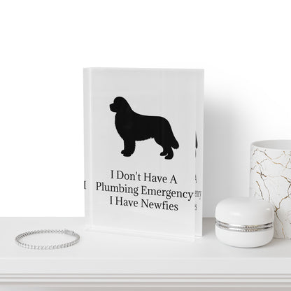 Plumbing Emergency Acrylic Photo Block