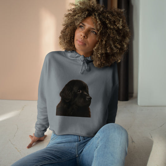 Newfie Head Women's Crop Hoodie