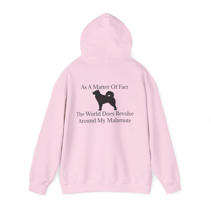 Matter Of Fact Malamute Unisex Hoodie