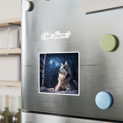 Got Snow? Vinyl Decal