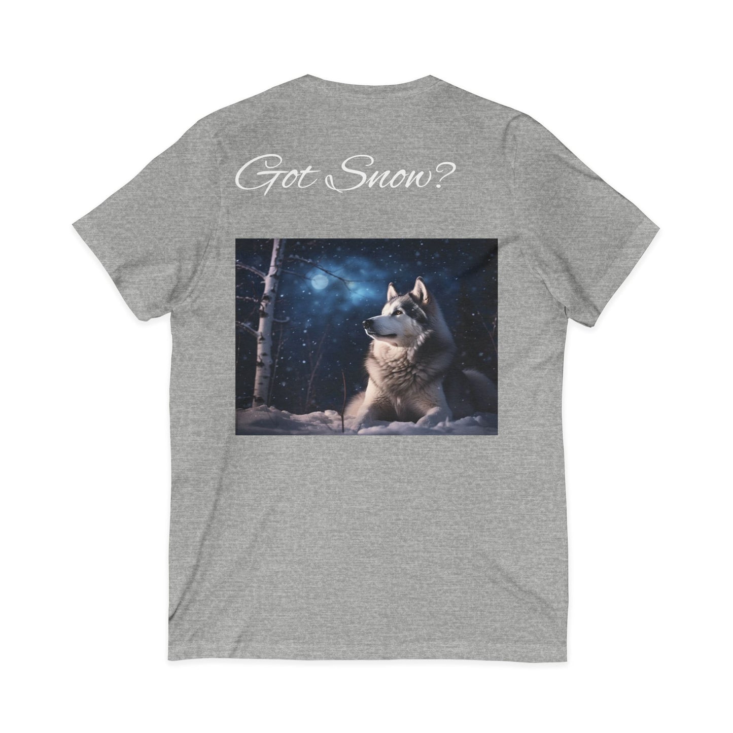 Got Snow? Unisex Short Sleeve V-Neck Tee