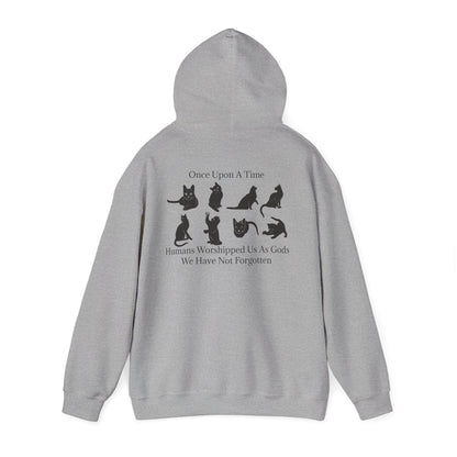 Once Upon A Time Unisex Hoodie