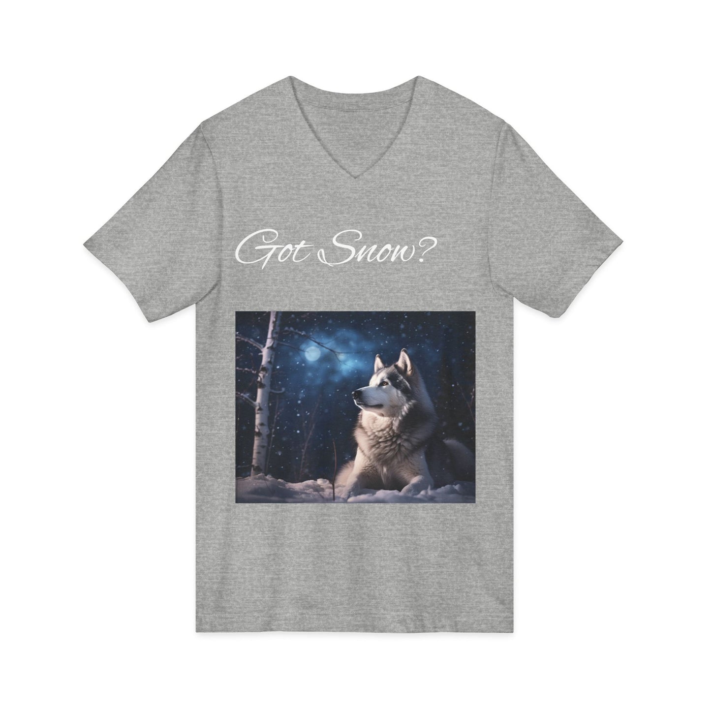 Got Snow? Unisex Short Sleeve V-Neck Tee