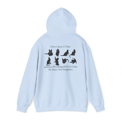 Once Upon A Time Unisex Hoodie
