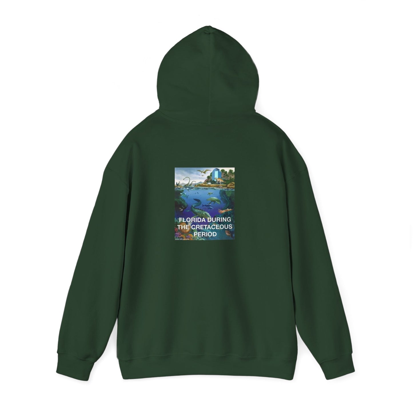I-4 Eyesore Unisex Hoodie