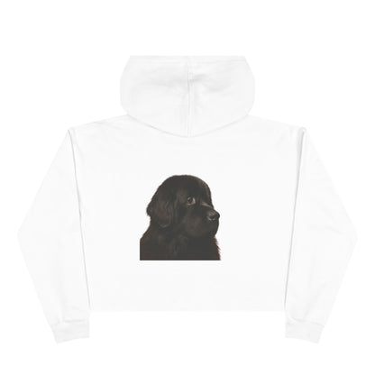Newfie Head Women's Crop Hoodie