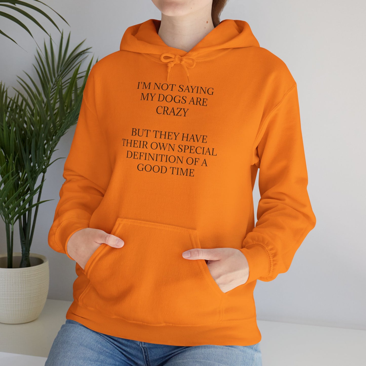 Special Definition Unisex Hoodie