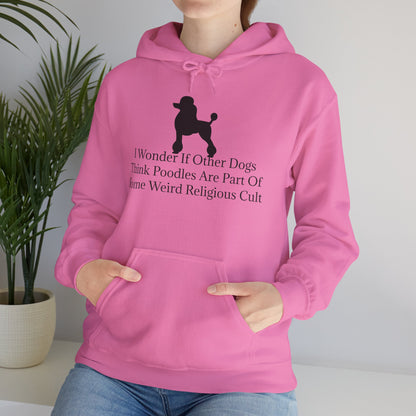 I Wonder Unisex Hoodie