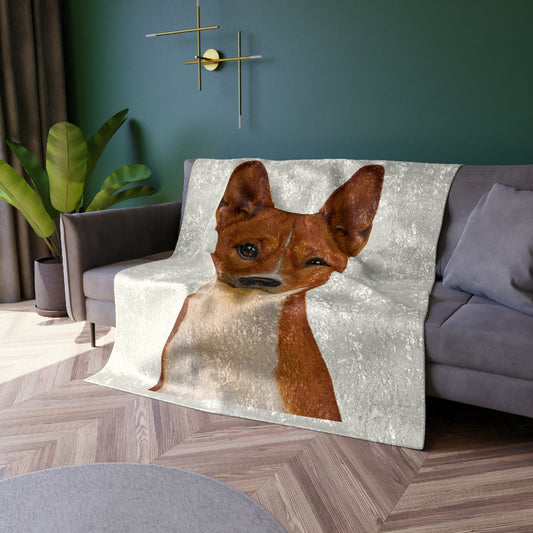 Basenji Head Crushed Velvet Blanket