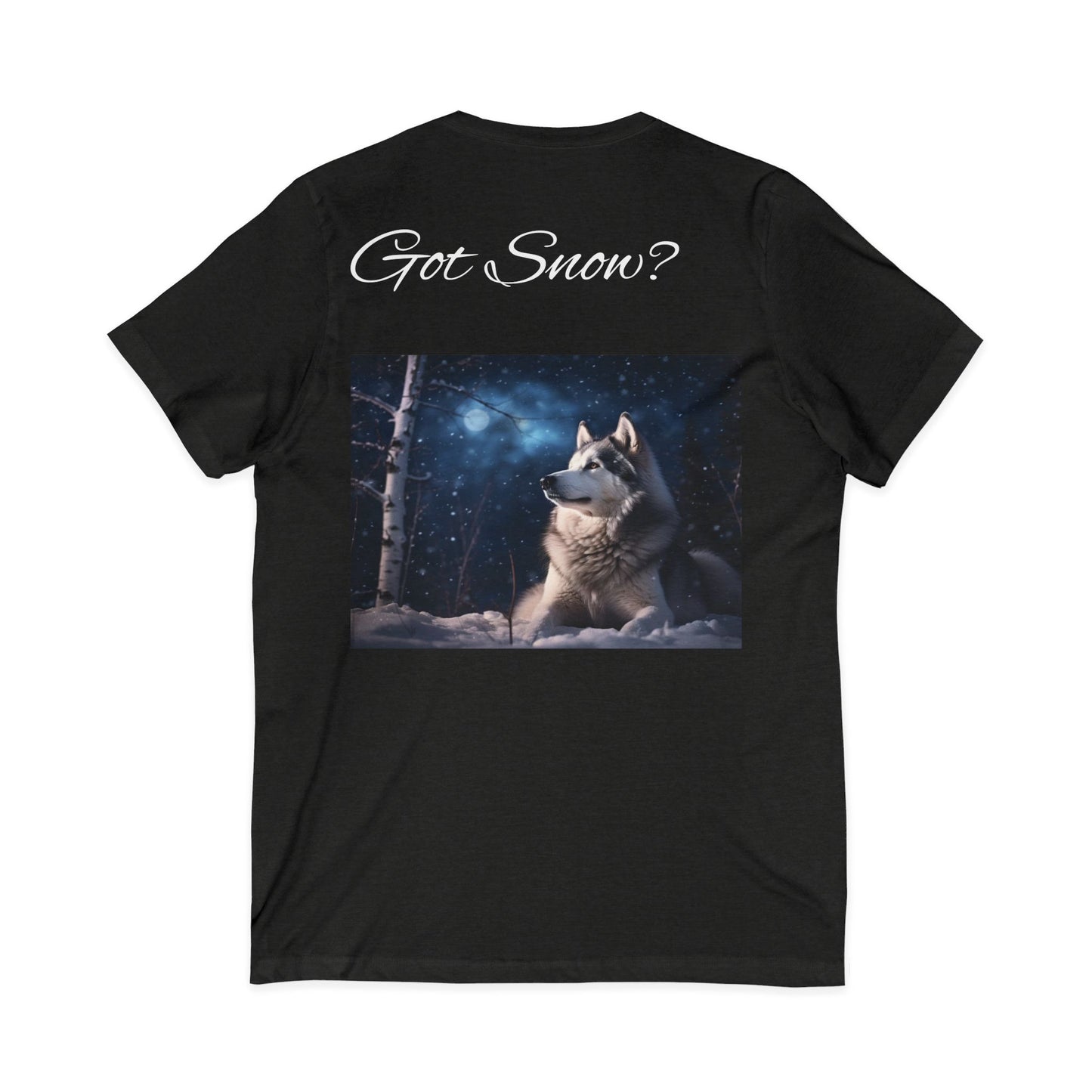 Got Snow? Unisex Short Sleeve V-Neck Tee