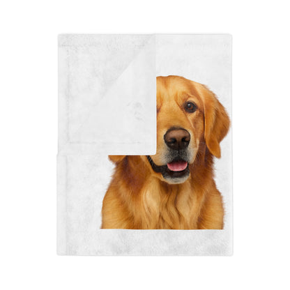 Golden Head Velveteen Microfiber Blanket