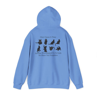 Once Upon A Time Unisex Hoodie