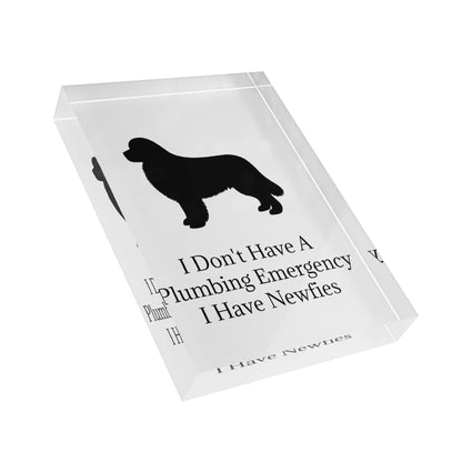 Plumbing Emergency Acrylic Photo Block