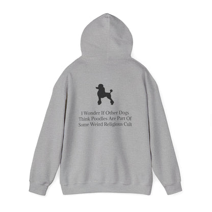 I Wonder Unisex Hoodie