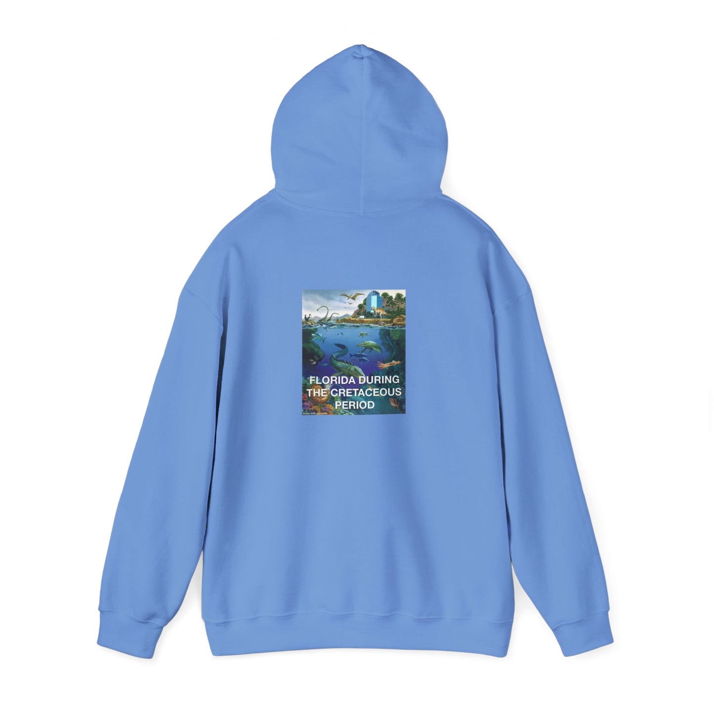I-4 Eyesore Unisex Hoodie