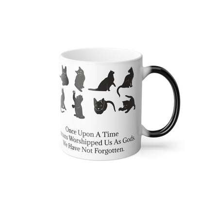 Once Upon A Time Color Changing Mug