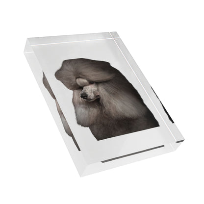 Poodle Head Acrylic Photo Block