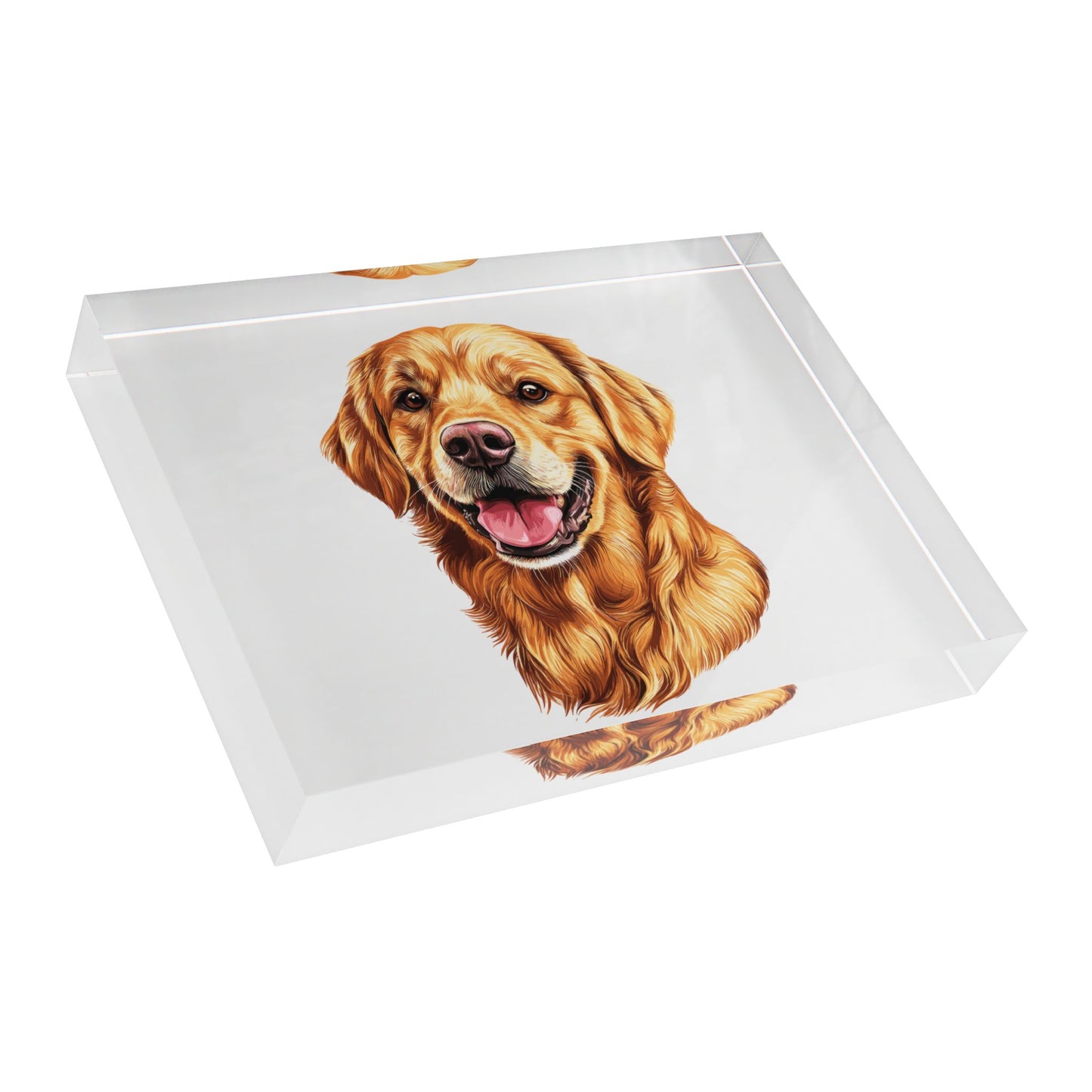 Golden Head Acrylic Photo Block