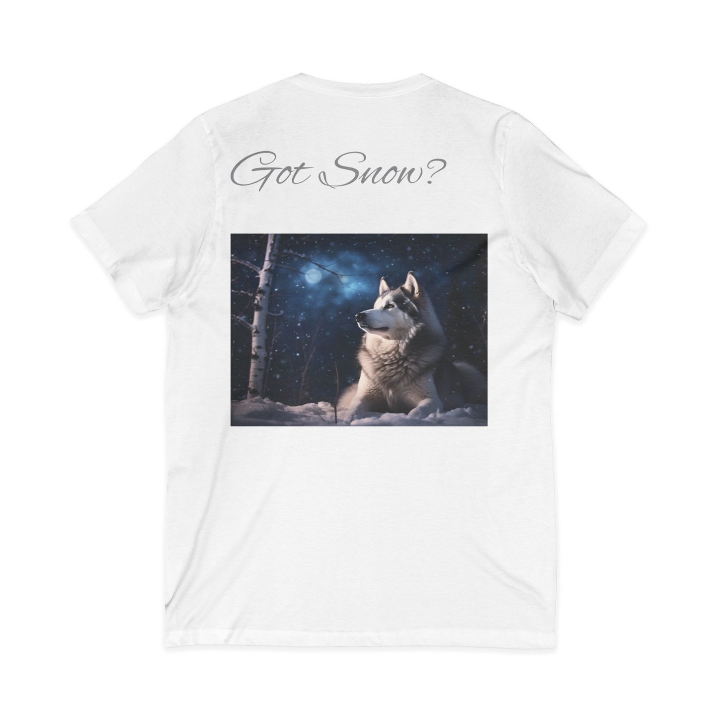 Got Snow? Unisex Short Sleeve V-Neck Tee