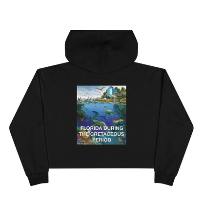 I-4 Eyesore Women's Crop Hoodie