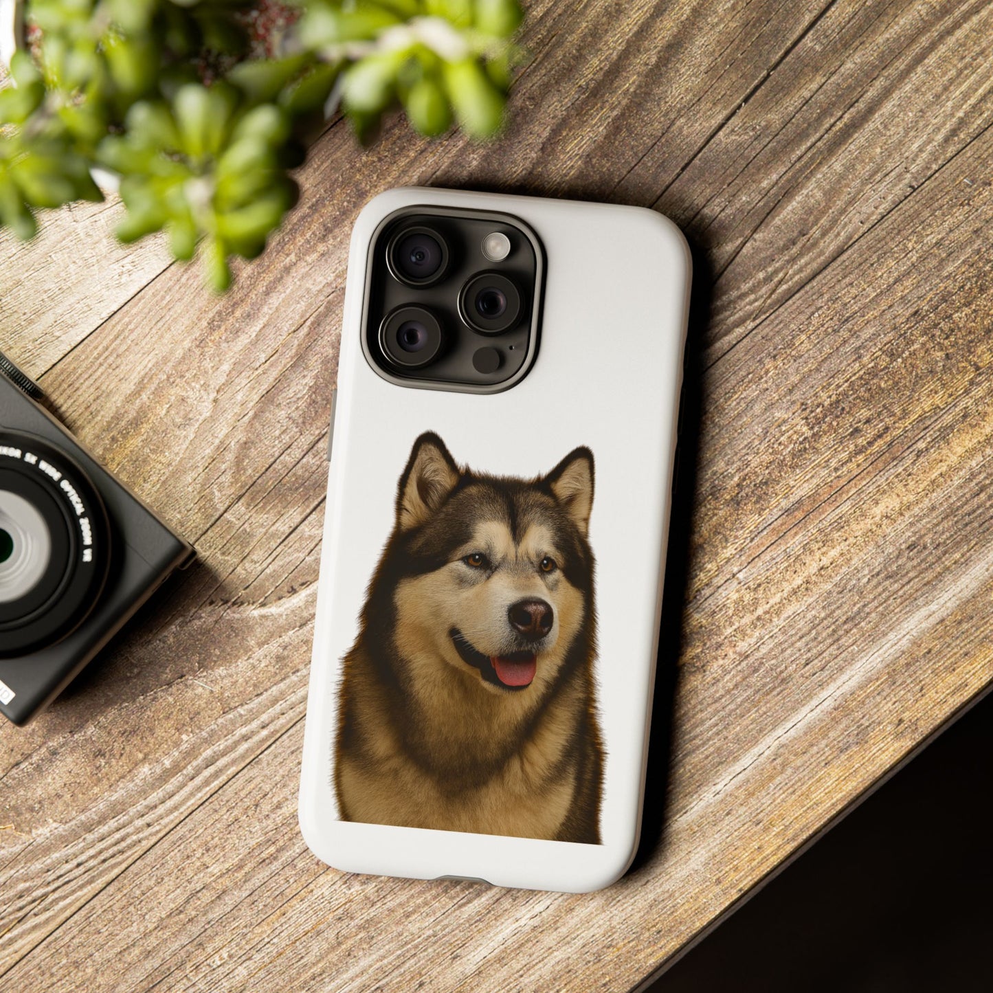 Malamute Head iPhone Case