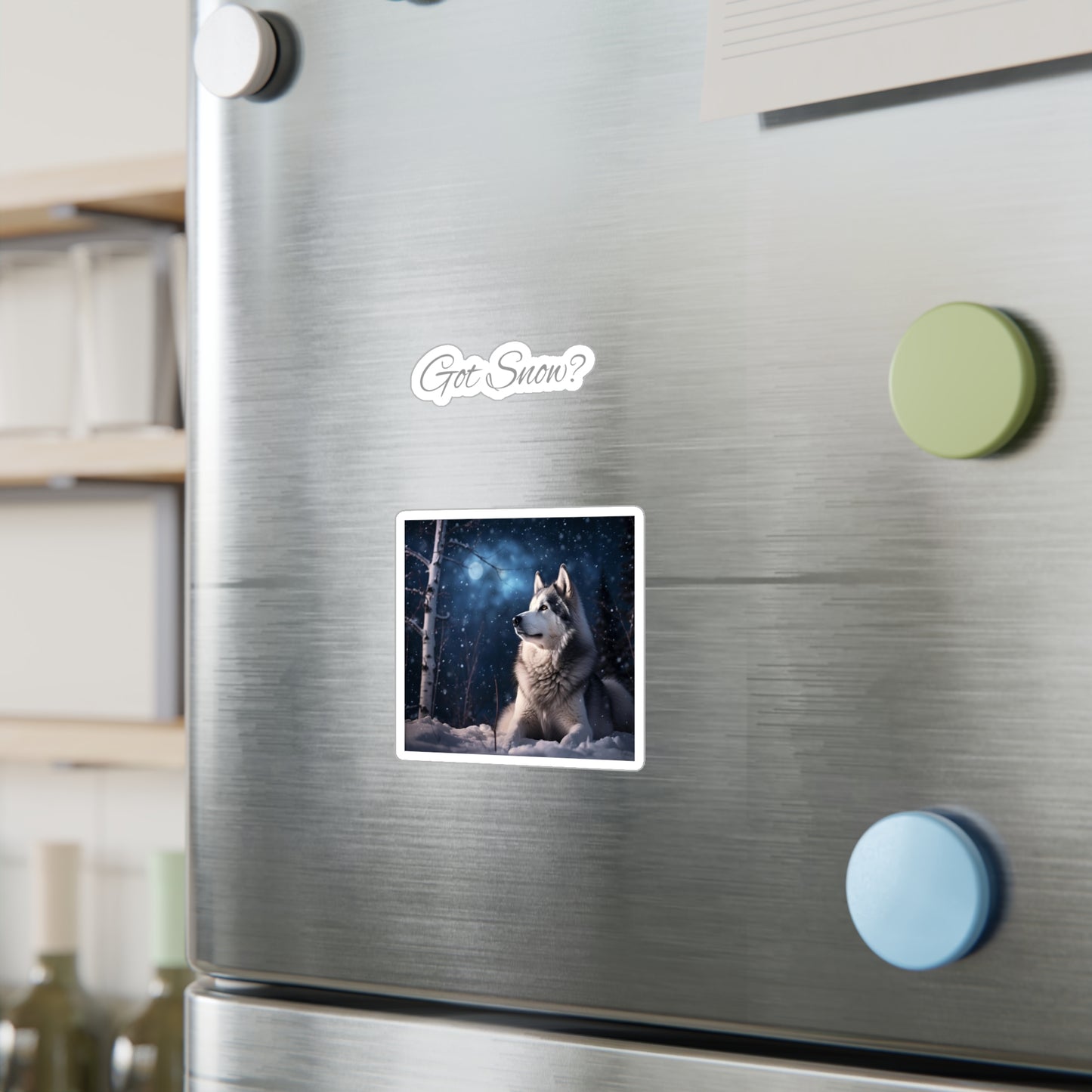 Got Snow? Vinyl Decal