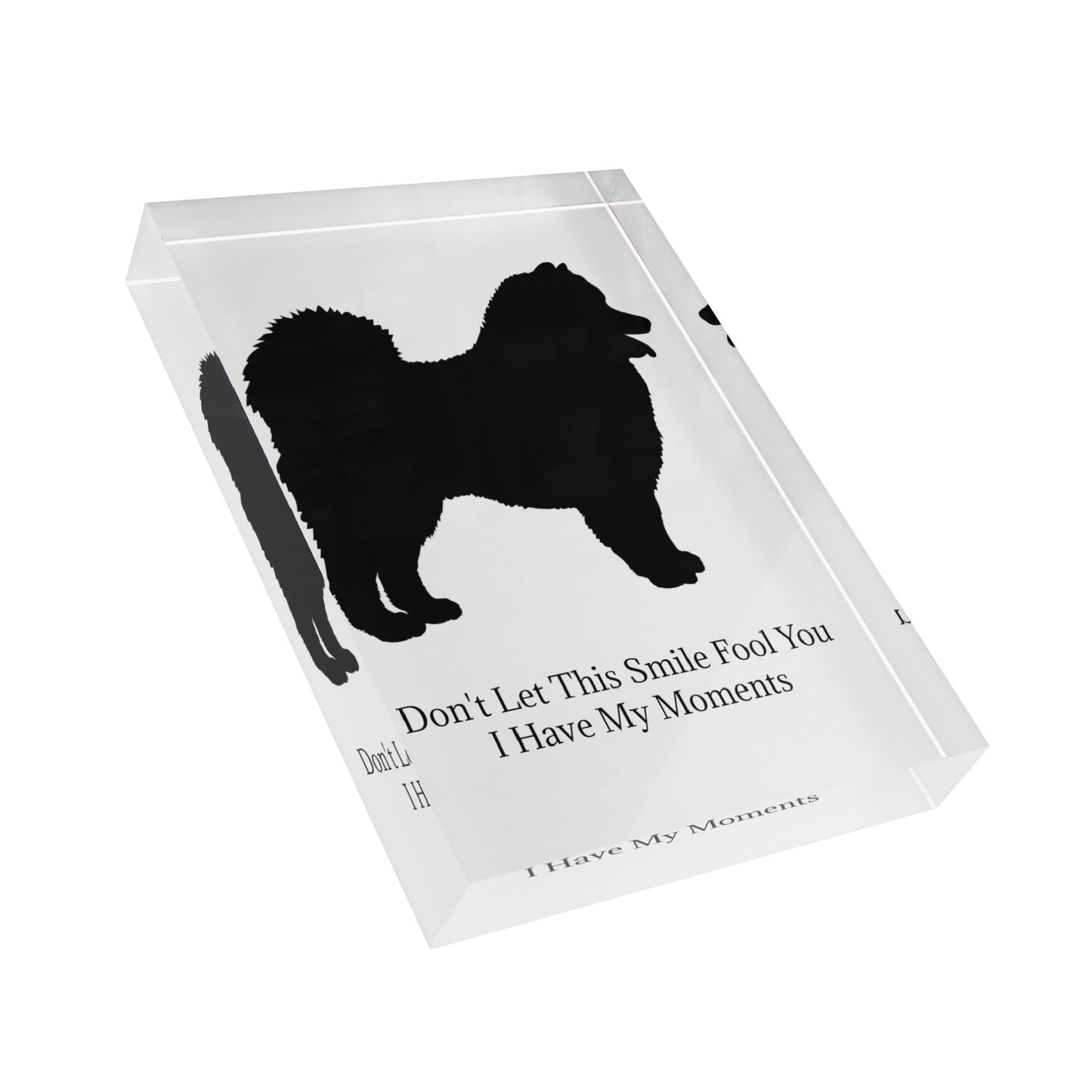 Fool You Acrylic Photo Block