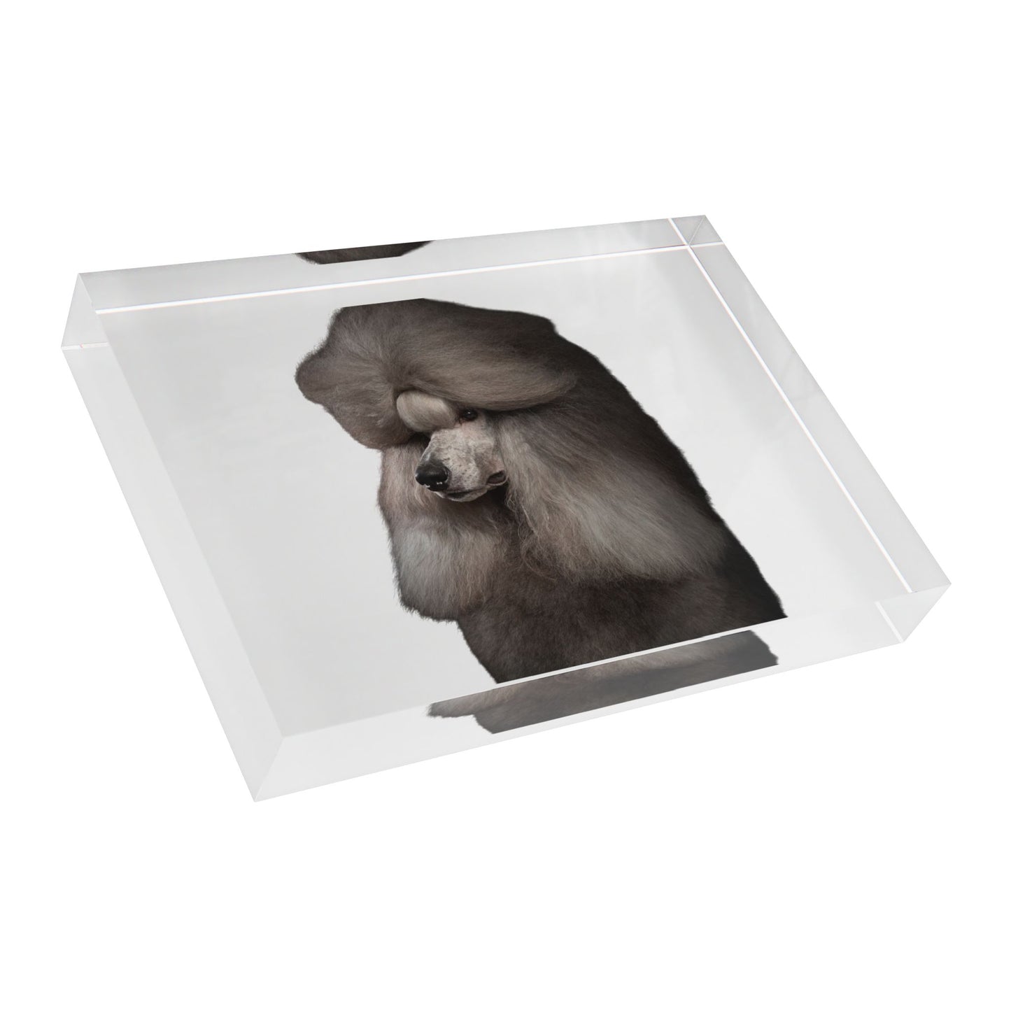 Poodle Head Acrylic Photo Block
