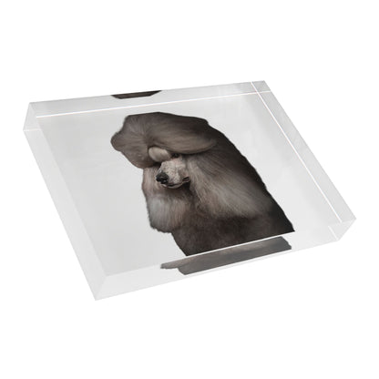 Poodle Head Acrylic Photo Block