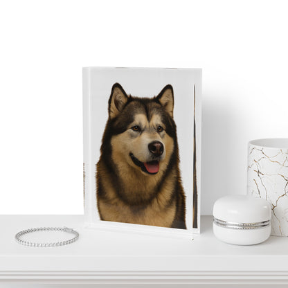 Malamute Head Acrylic Photo Block