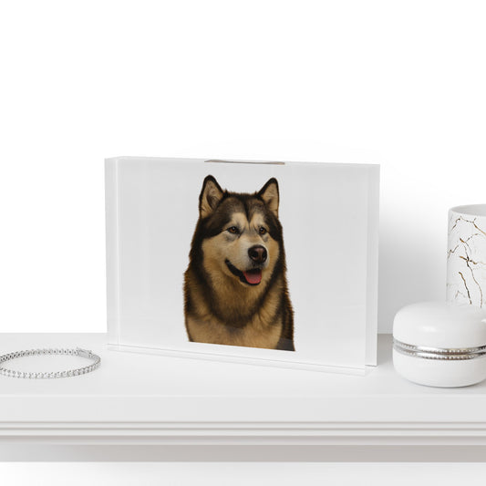 Malamute Head Acrylic Photo Block