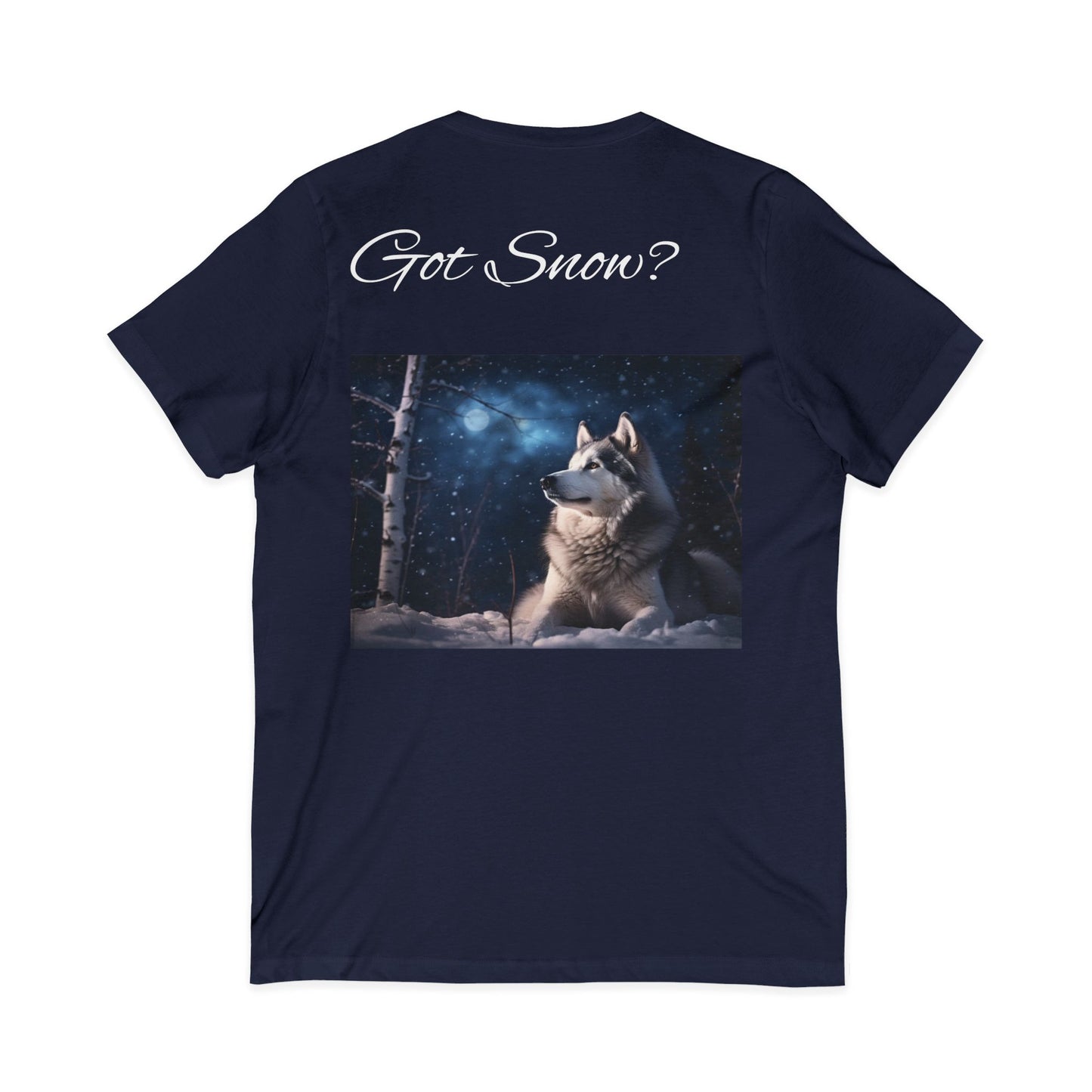 Got Snow? Unisex Short Sleeve V-Neck Tee