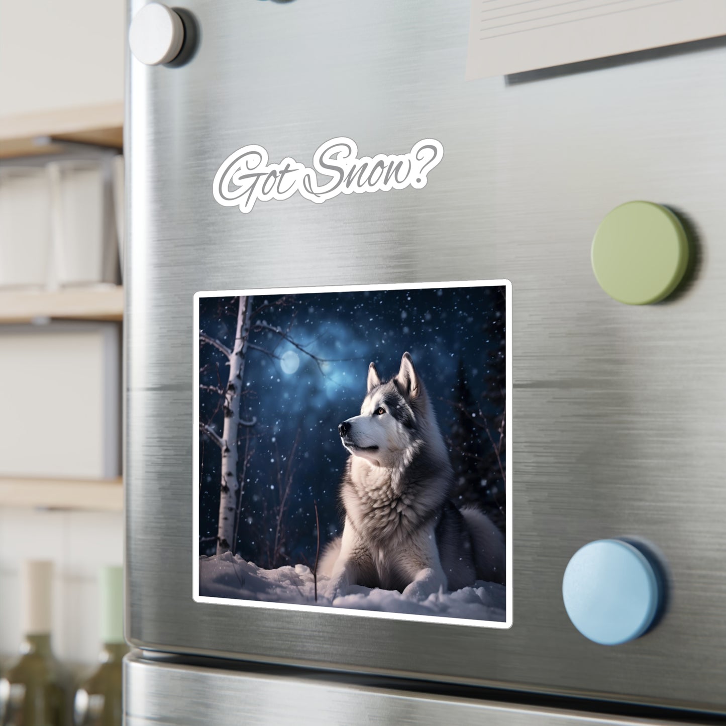 Got Snow? Vinyl Decal