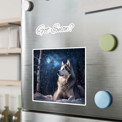 Got Snow? Vinyl Decal