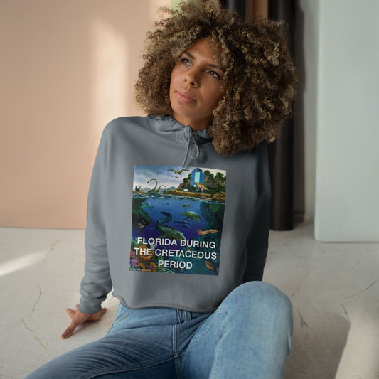 I-4 Eyesore Women's Crop Hoodie