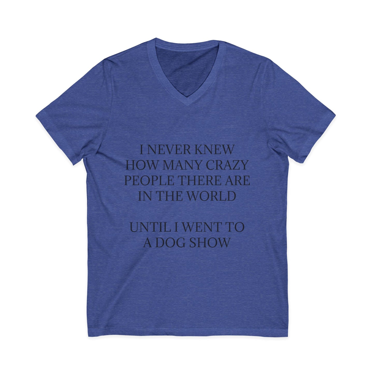 Never Knew Unisex Short Sleeve V-Neck Tee