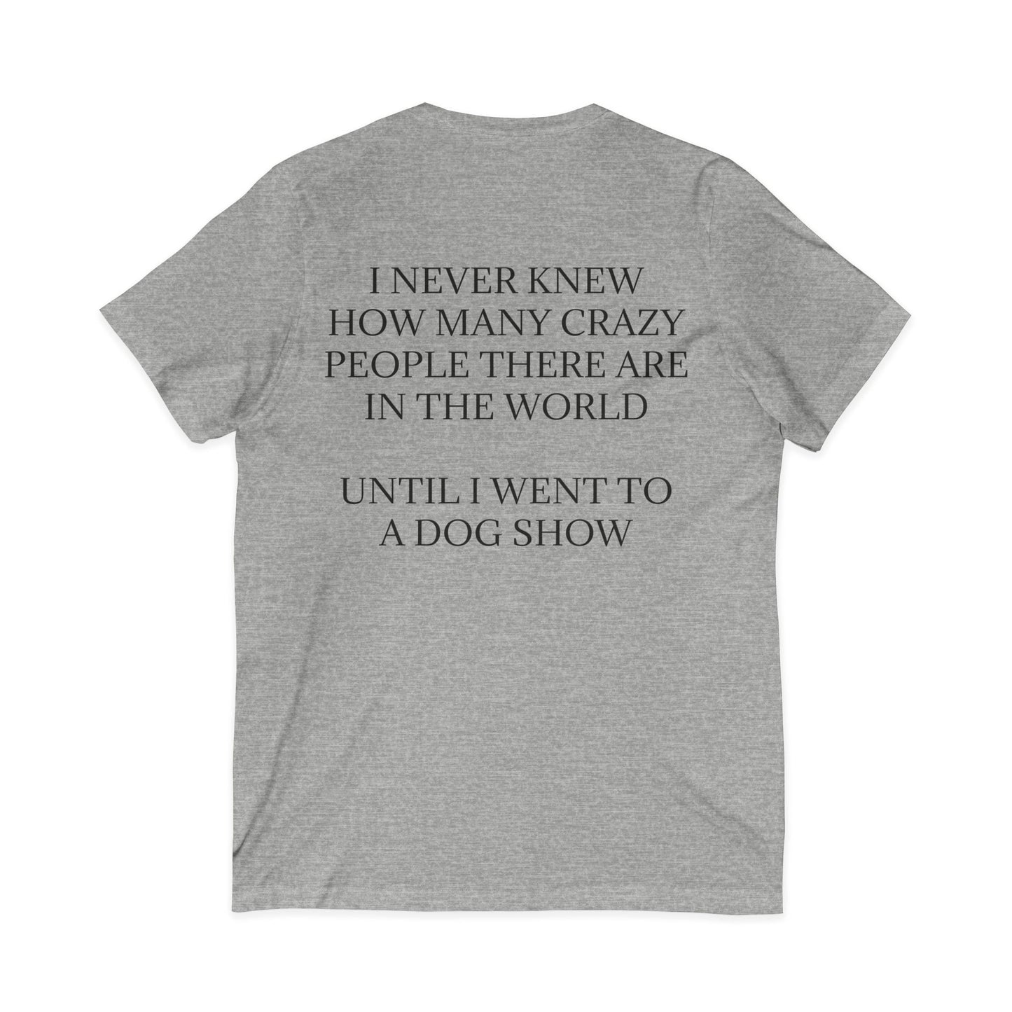Never Knew Unisex Short Sleeve V-Neck Tee