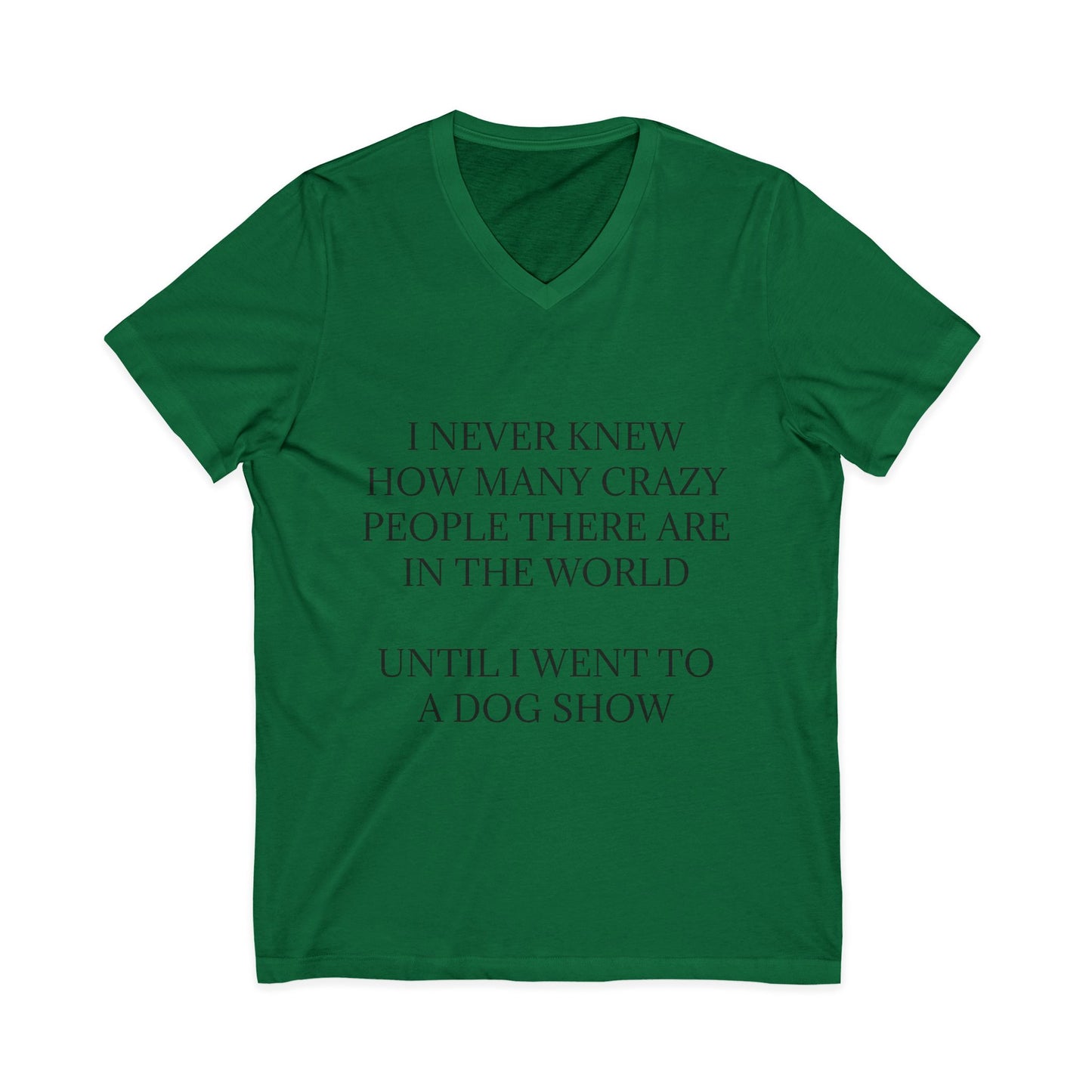 Never Knew Unisex Short Sleeve V-Neck Tee