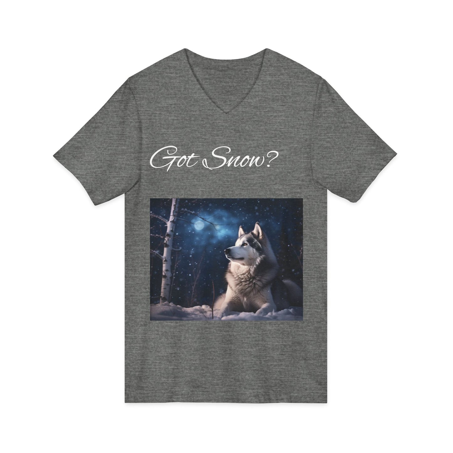 Got Snow? Unisex Short Sleeve V-Neck Tee