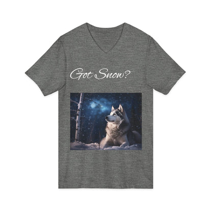 Got Snow? Unisex Short Sleeve V-Neck Tee
