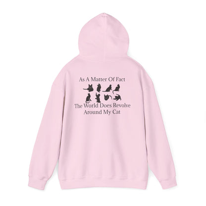 Matter Of Fact Cat Unisex Hoodie